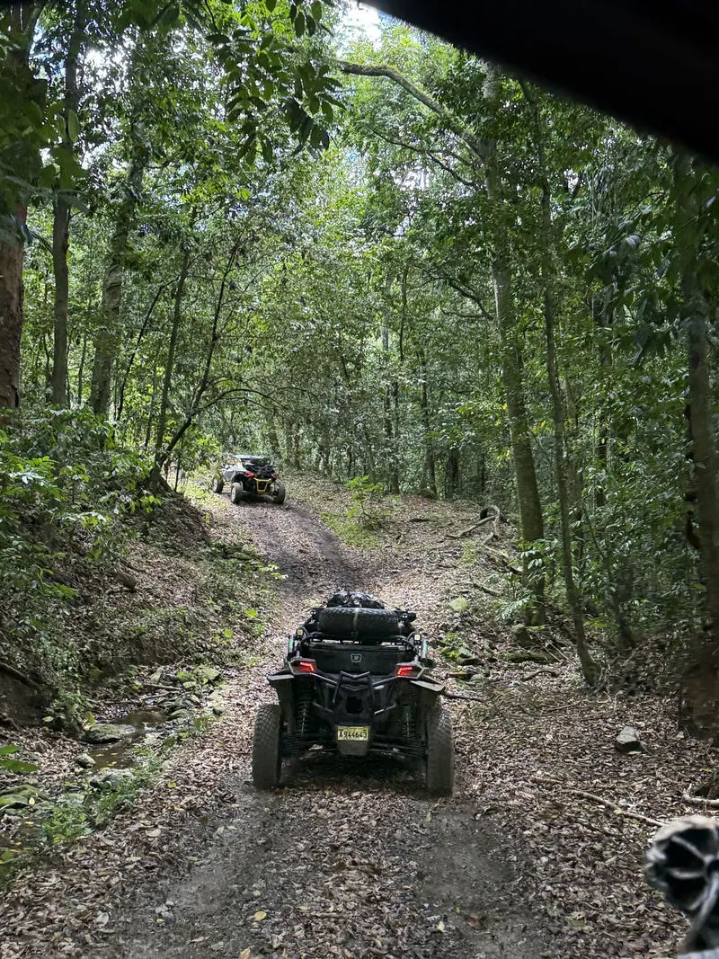 Two Can-Am side-by-sides seen from behind, climbing a track through tropical forest