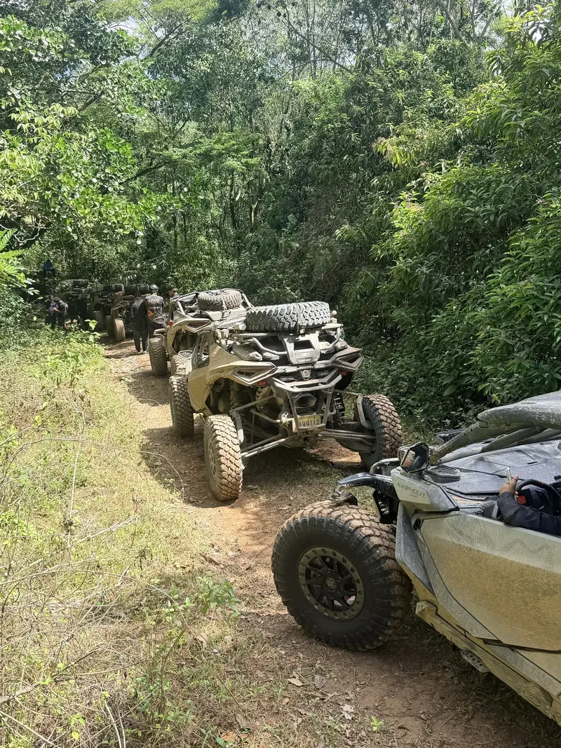 Line of Can-Am UTVs on a tropical forest trail, spare tires strapped to the back