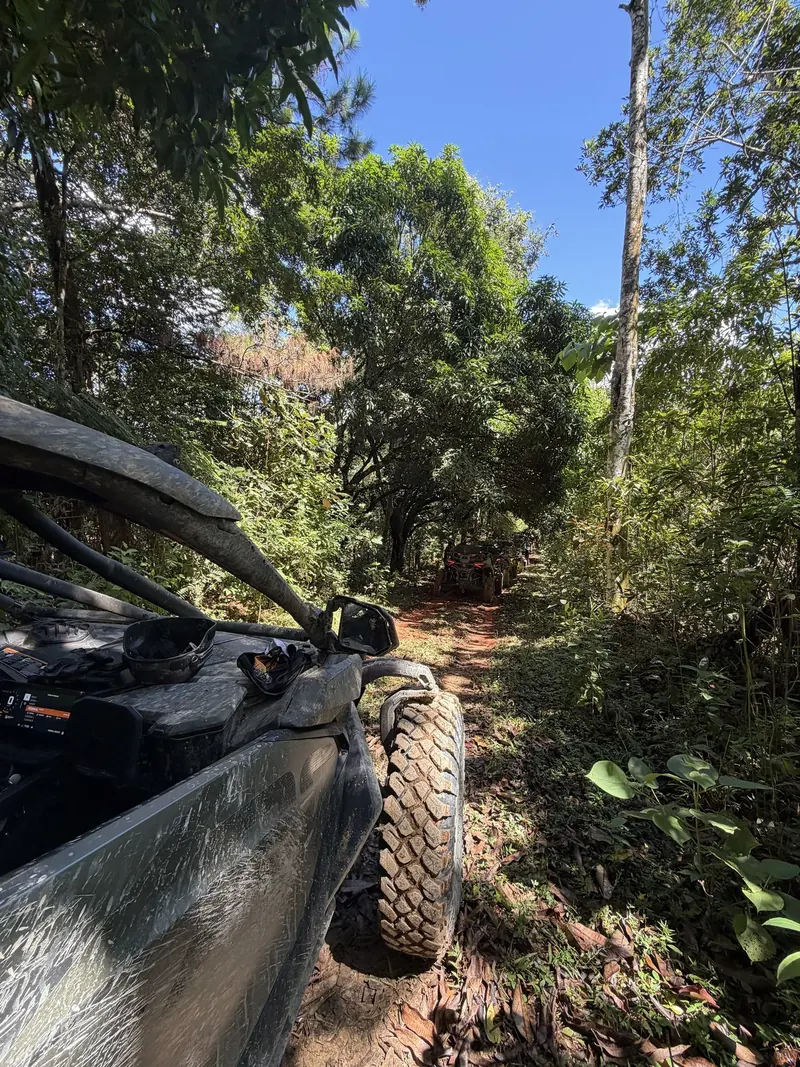 Sentier de jungle vu depuis le siège du pilote d’un Can-Am, d’autres Can-Am devant